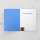 Big Fuzzy Serious Sheep krijgt goed Kaart (Binnen)