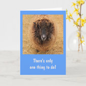 Big Fuzzy Serious Sheep krijgt goed Kaart (Gele Bloem)