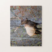 Big Game Hunter - Bull Elk - 11x14 inch Legpuzzel (Verticaal)