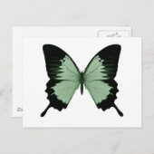 Big Green & Black Butterfly Briefkaart (Voorkant / Achterkant)