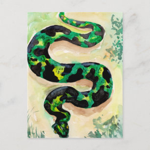Big Green Snake Briefkaart
