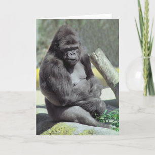 Big Gunns Gorilla Note Kaart