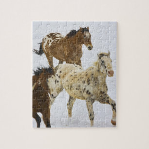 Big Horn Mountains, paarden die in de sneeuw lopen Legpuzzel