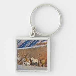 Big Horn Mountains, Paarden rennen Sleutelhanger