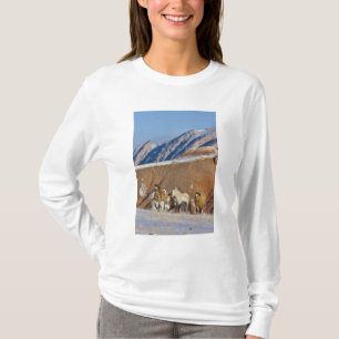 Big Horn Mountains, Paarden rennen T-shirt