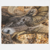 Big Horn Ram Fleece Deken (Voorkant (Horizontaal))