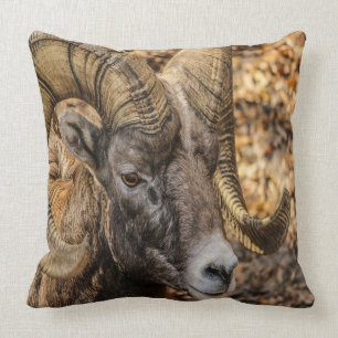 Big Horn Ram Kussen