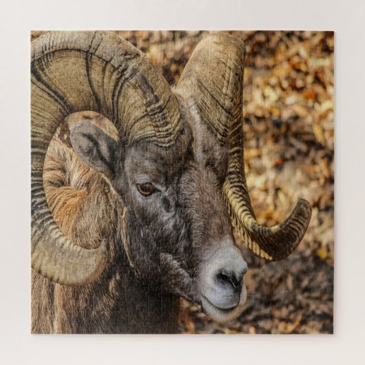 Big Horn Ram Legpuzzel (Verticaal)