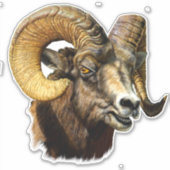 Big Horn Ram Mountain Sheep Sticker (Voorkant)