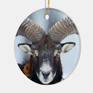 Big Horn Ram Sheep - Mouflon Keramisch Ornament