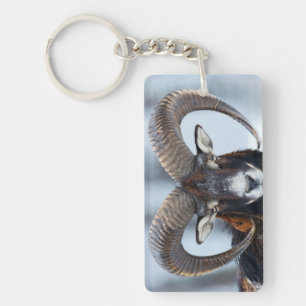 Big Horn Ram Sheep - Mouflon Sleutelhanger