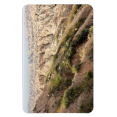 Big Horn Sheep in Badlands National Park, SD Magneet (Verticaal)