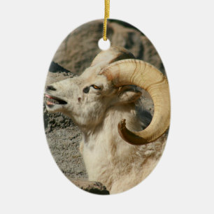 Big Horn Sheep Laughing Keramisch Ornament