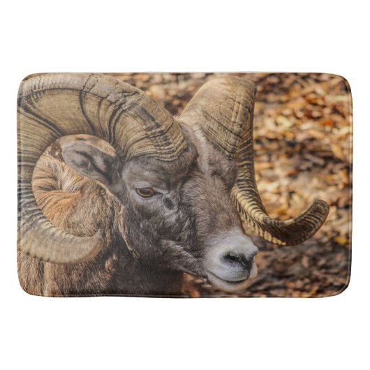 Big Horn Sheep Ram Mancave of Entryway Rug of Mat (Voorkant)