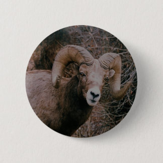 Big Horn Sheep Ronde Button 5,7 Cm