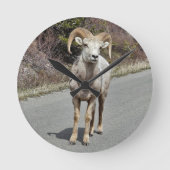 Big Horn Sheep Ronde Klok (Voorkant)