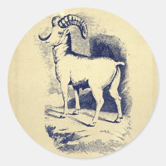  BIG HORN SHEEP RONDE STICKER (Voorkant)
