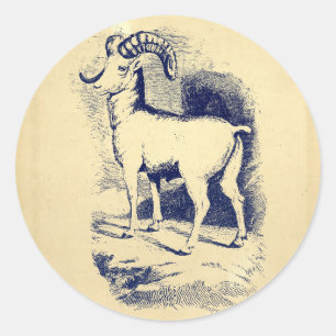BIG HORN SHEEP RONDE STICKER