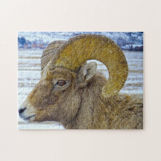 Big Horned Sheep Montana. Legpuzzel (Horizontaal)