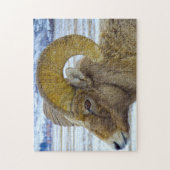 Big Horned Sheep Montana. Legpuzzel (Verticaal)