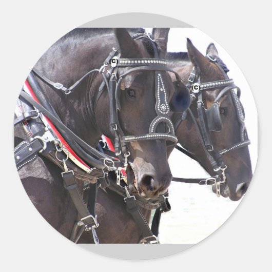 Big Horses Stickers (Voorkant)