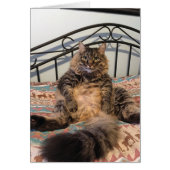 Big Huggable Cat Blank Kaart (Voorkant)