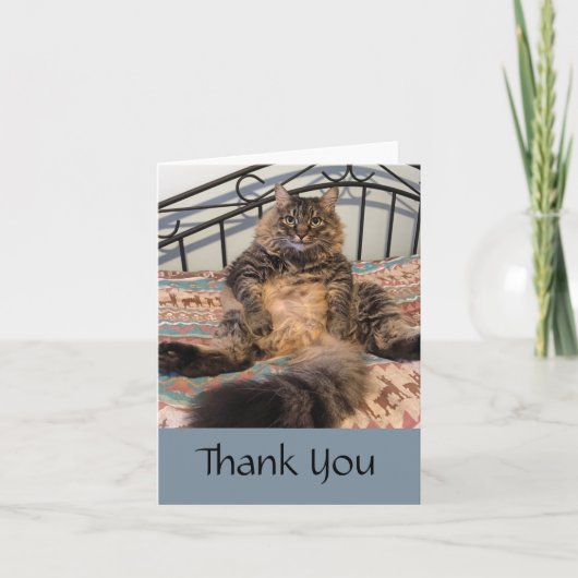 Big Huggable Cat Dank u wel briefkaart (Voorkant)