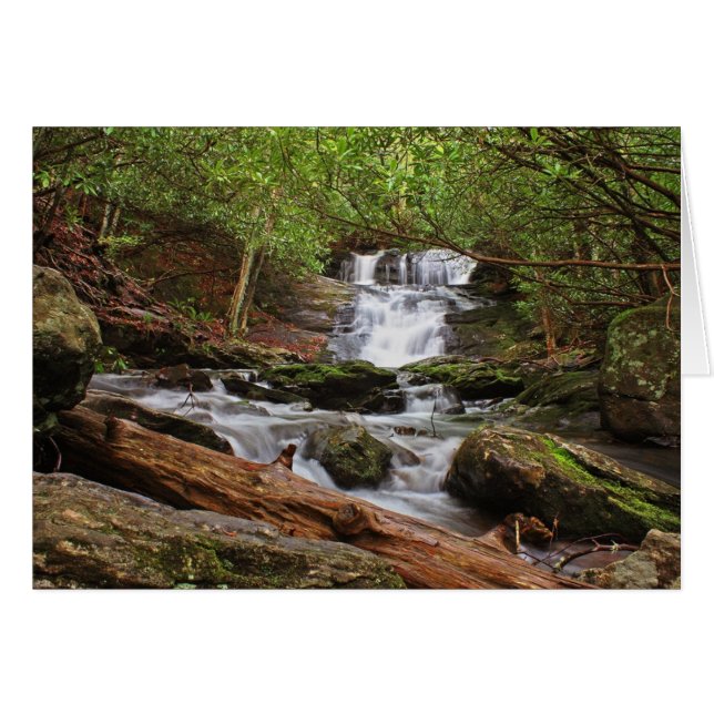 Big Laurel Herfsten (Voorkant Horizontaal)