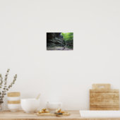 Big Lyon Herfsten, Mohican State Park, Ohio Poster (Keuken)
