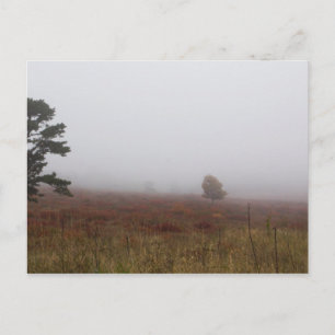 Big Meadows, Nationaal Park Shenandoah, Virginia Briefkaart