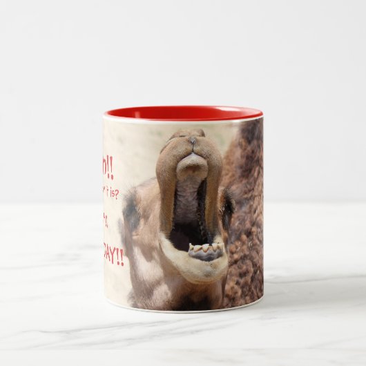 Big Mouthed Camel, Hump Day Red Mok (Center)