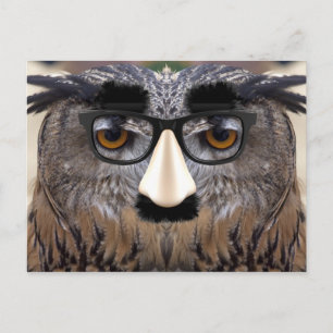 Big Nose Bird Briefkaart