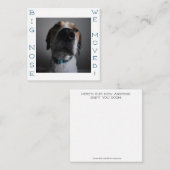 Big Nosed Chien changement d'adresse Carte postale (Devant / Derrière)