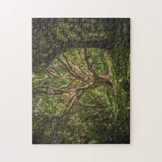 Big Old Tree in het bos Legpuzzel (Verticaal)