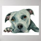 Big Ol'Head | Pit Bull Dog Waterverf Painting Poster (Voorkant)