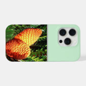 Big Orange African Seed Cone Pods, (Verso Horizontal)