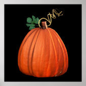 Big Oranje Whimsical Pumpkin Poster (Voorkant)