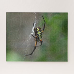 Big Orb Weaver Spider op Web Natuur Puzzel