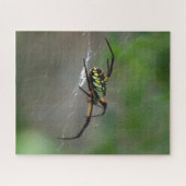 Big Orb Weaver Spider op Web Natuur Puzzel Legpuzzel (Horizontaal)