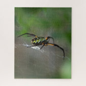 Big Orb Weaver Spider sur le Web Nature Puzzle (Vertical)