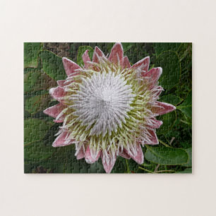 Big Pink en White Flower Natuur Foto Legpuzzel