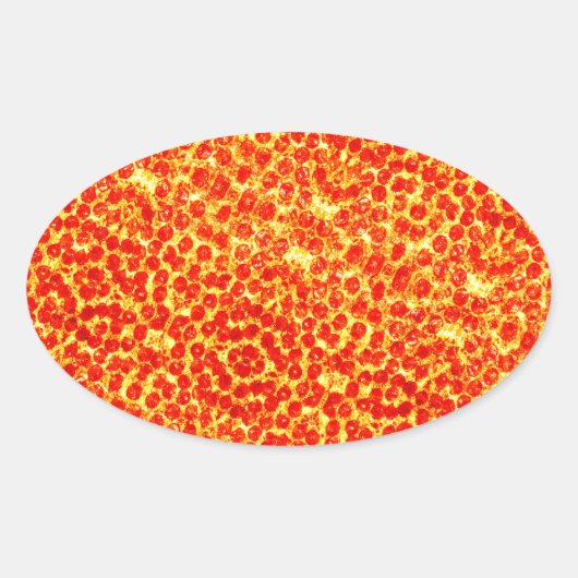 Big Pizza Pattern Ovale Sticker (Voorkant)