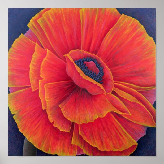 Big Poppy 2003 Poster (Voorkant)