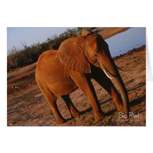 Big Red (Voorkant Horizontaal)