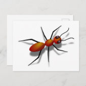 Big Red Ant Briefkaart (Voorkant / Achterkant)