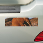 Big Red Bumpersticker (Op auto)