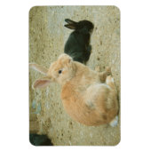 Big Red Bunny Magneet (Verticaal)