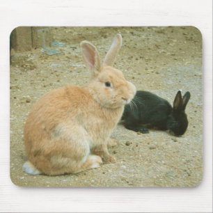 Big Red Bunny Muismat