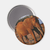 Big Red Elephant Magneet (Voorkant / Achterkant)