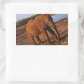 Big Red Elephant Stickers (Tas)